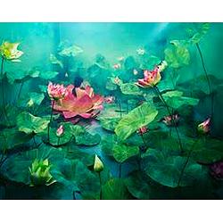 Radio Art - Dreamscapes