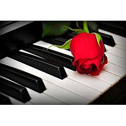 Radio Art - Solo Piano