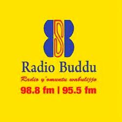 Radio Buddu 98.8FM and 95.5FM