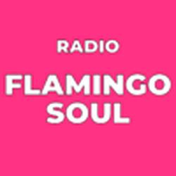 Radio Cappajoe - Flamingo Soul