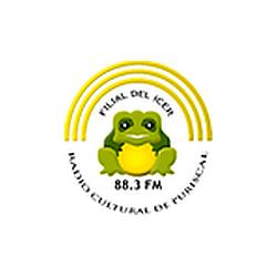Radio Cultural de Puriscal