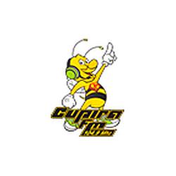 Rádio Cupira FM