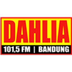 Radio Dahlia