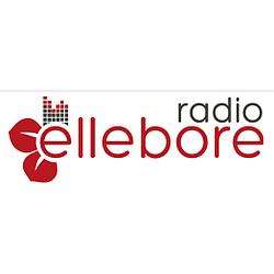 Radio Ellebore - The Groove Factory