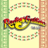 Gallito