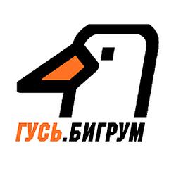 Радио ГУСЬ.Бигрум