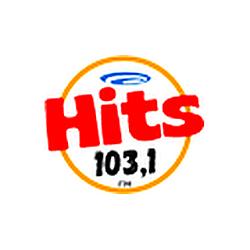 Rádio Hits Fm 103,1
