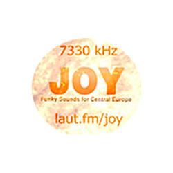 Radio Joystick