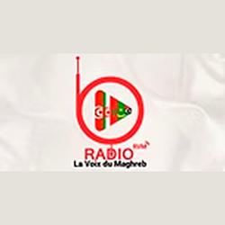 Radio La Voix du Maghreb