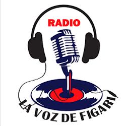 Radio La Voz de Figari