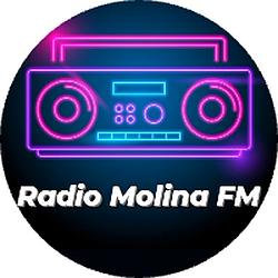 Radio Molina FM Curicó