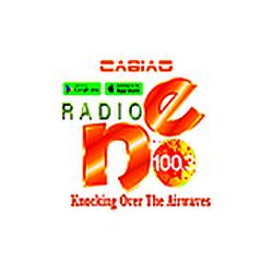 Radio NE FM100.3
