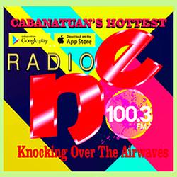 Radio NE FM100.3