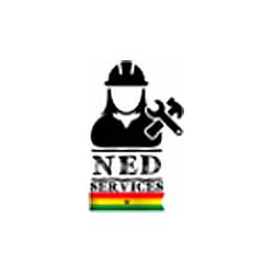 Radio NED