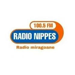 Radio Nipes FM