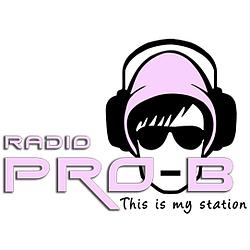 Radio Pro-B