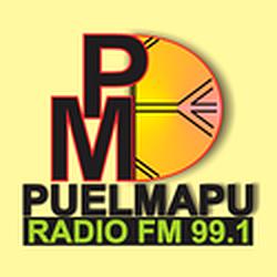 Radio Puelmapu
