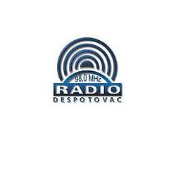 Radio Puls