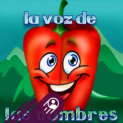 Radio San Jose de Cachi 101.3