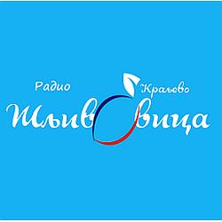 Radio Šljivovica