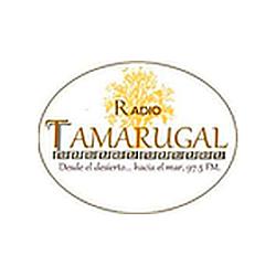 Radio Tamarugal