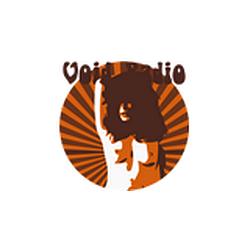 Radio Void