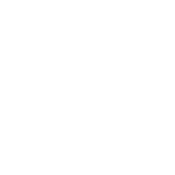 Record 80-х Record