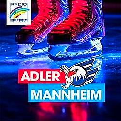 Regenbogen - Adler Mannheim