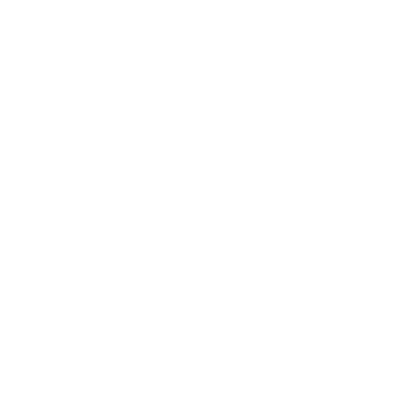 Record Нулевых
