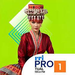 RRI Pro 1 Tual