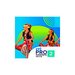 RRI Pro 2 Surakarta
