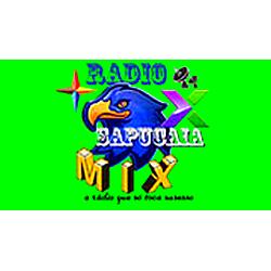 Sapucaia mix