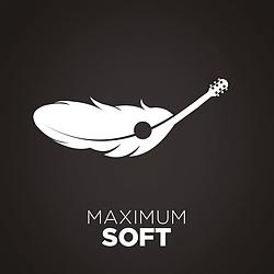 Soft Maximum