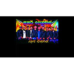Super Friends Live Show