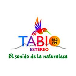 Tabio Estereo