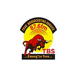 TBS FM  The Bull