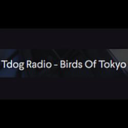 Tdog.Radio - Birds Of Tokyo