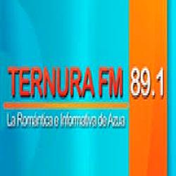 Ternura 89.1 FM