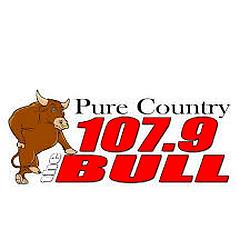 The Bull