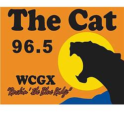 The Cat