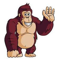 The Gorilla