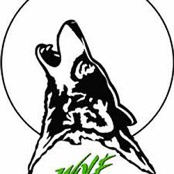 The Wolf