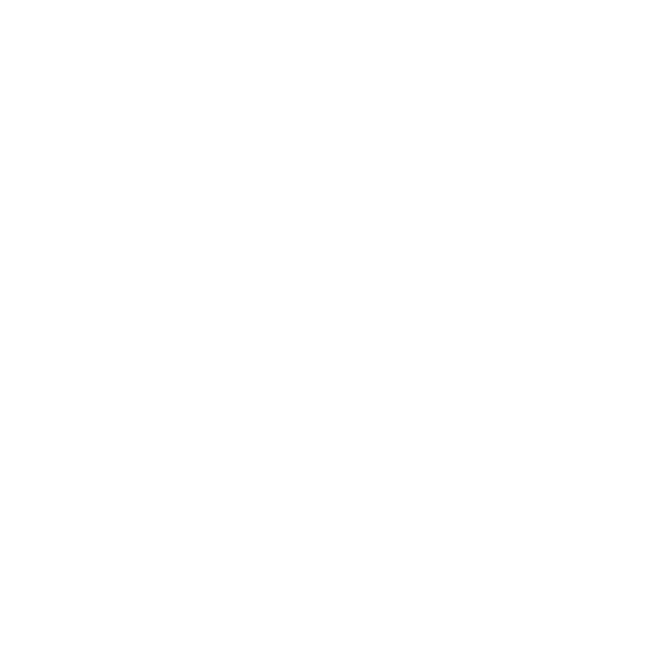 Tiesto Record