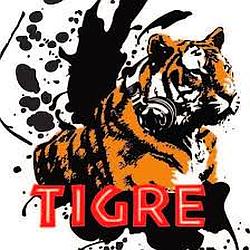 TIGRE 102.1 FM