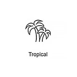 Tropical Record