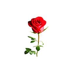 True Love Radio Sneh