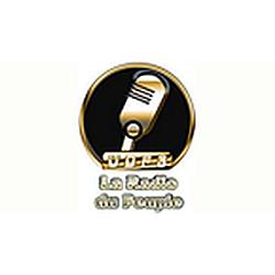 UDPSRADIO