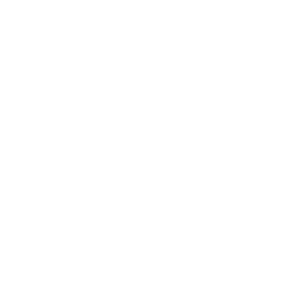 Ultra Music Festival Record