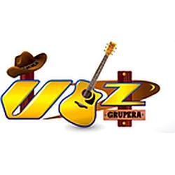 Vozfmgrupera