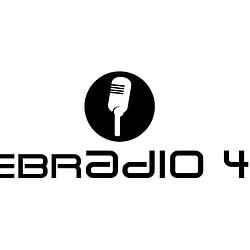 Webradio 4313